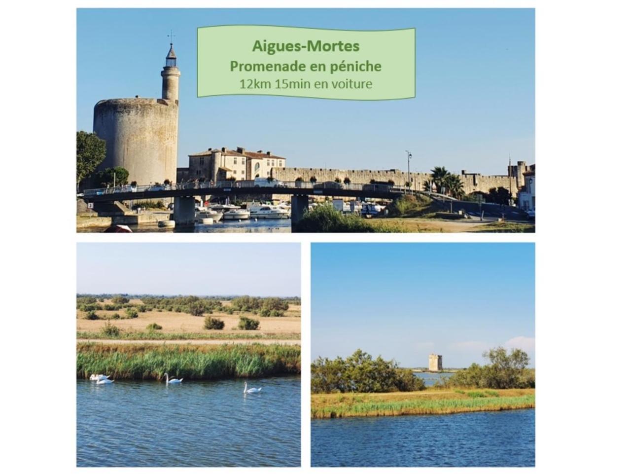 T2 Traversant Familial Cap Sud Parking Plages - Rossiconciergerie - Linge En Option La Grande Motte Exteriör bild